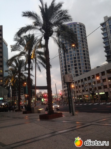 11 ����: ���� ����