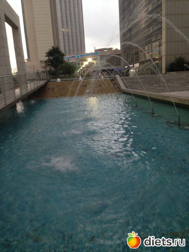 19 ����: ���� ����