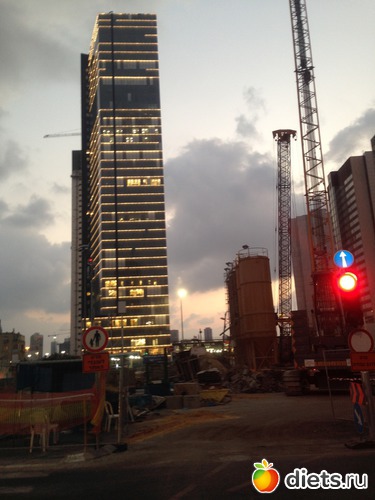 24 ����: ���� ����