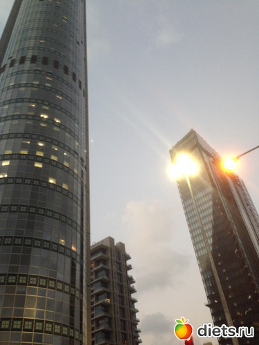 29 ����: ���� ����