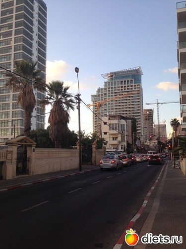 37 ����: ���� ����