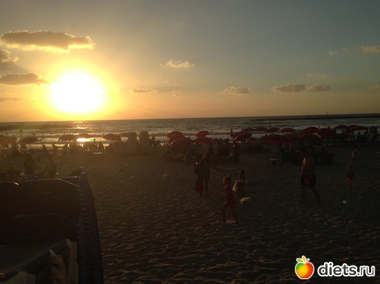 38 ����: ���� ����