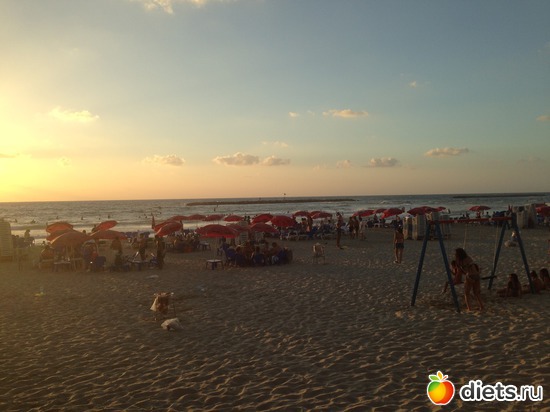 40 ����: ���� ����