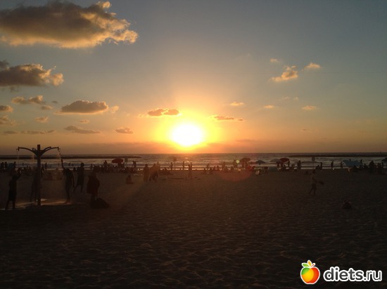 41 ����: ���� ����