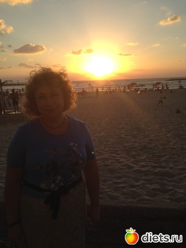 43 ����: ���� ����