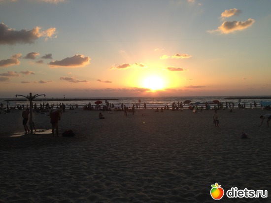 45 ����: ���� ����