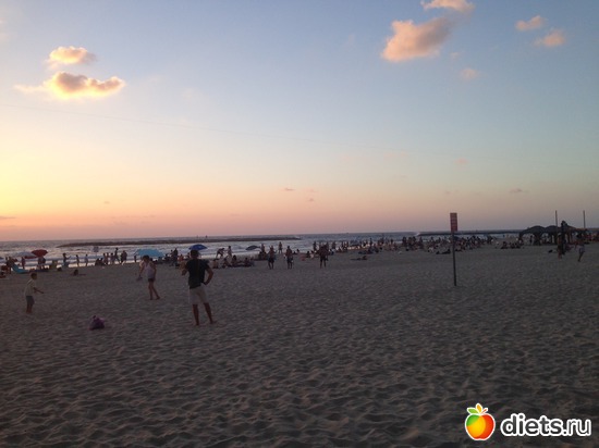 46 ����: ���� ����