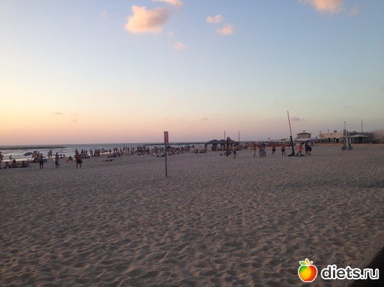 47 ����: ���� ����