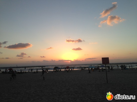 48 ����: ���� ����