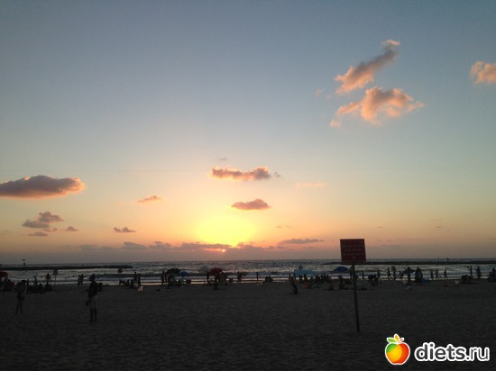 49 ����: ���� ����