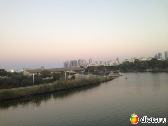 55 ����: ���� ����