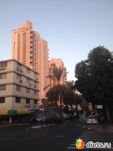 56 ����: ���� ����