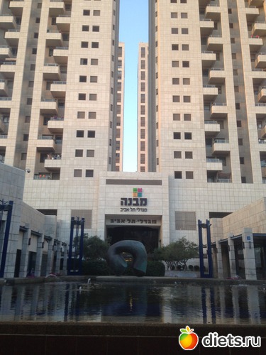 58 ����: ���� ����