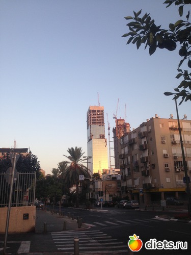 59 ����: ���� ����