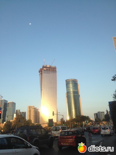 61 ����: ���� ����