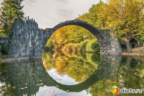 Красота в парке