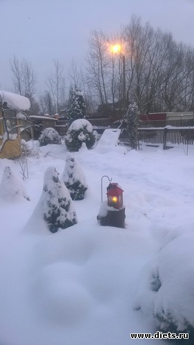 1 ����: ���� �������