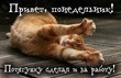 Марафон минус 60, неделя 2, день 4