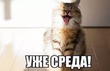 ��������� ����������� 25 �����!
