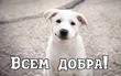 Марафон минус 60, неделя 2, день 6