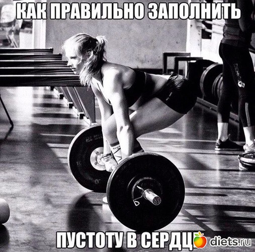 1 ����: ������