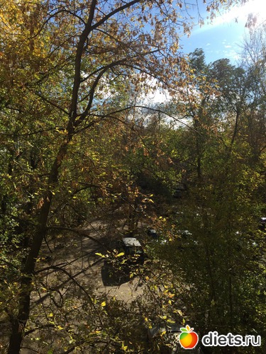 2 ����: 2016