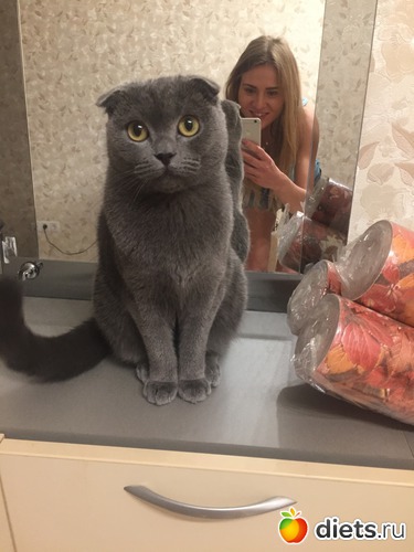 3 ����: 2016