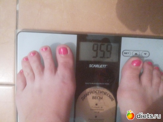 23.11.2016 ������, ������: ����� 26 �����