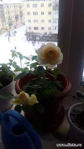 5 ����: ��� �������