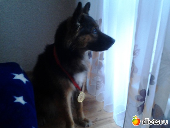 4 ����: ��� ���