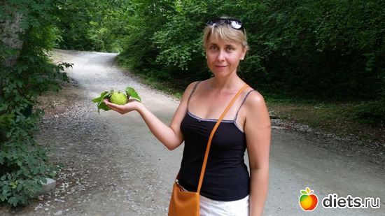 ������� ������, ��������� 2016, ������: �