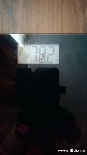 2 ����: 26 �����