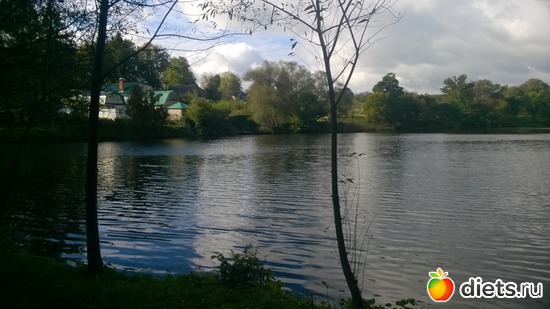 24 ����: ��������� ����������� ����������)