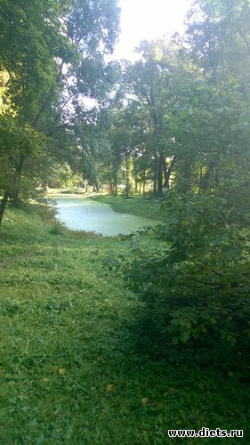 27 ����: ��������� ����������� ����������)