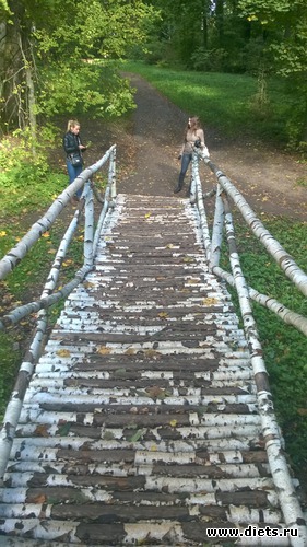 28 ����: ��������� ����������� ����������)