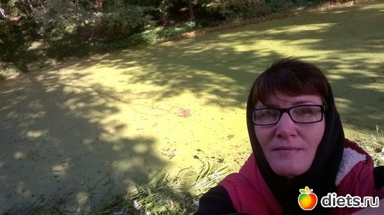 29 ����: ��������� ����������� ����������)