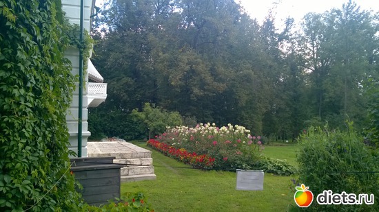 33 ����: ��������� ����������� ����������)