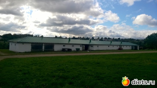 35 ����: ��������� ����������� ����������)