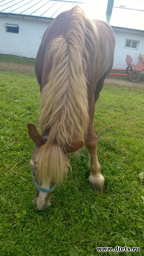 37 ����: ��������� ����������� ����������)