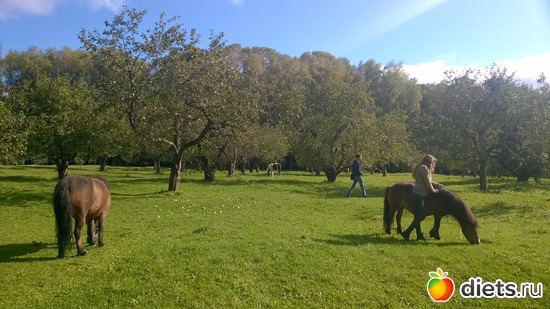 39 ����: ��������� ����������� ����������)