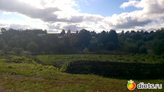 41 ����: ��������� ����������� ����������)