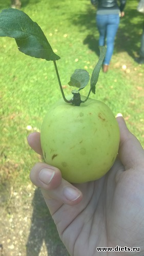 44 ����: ��������� ����������� ����������)