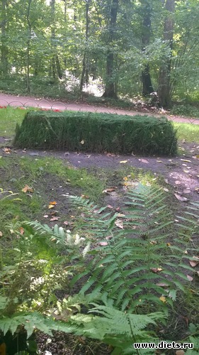 45 ����: ��������� ����������� ����������)