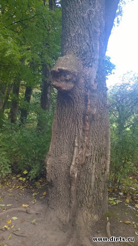 46 ����: ��������� ����������� ����������)