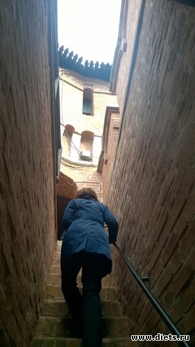 53 ����: ��������� ����������� ����������)