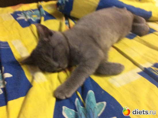 5 ����: ������