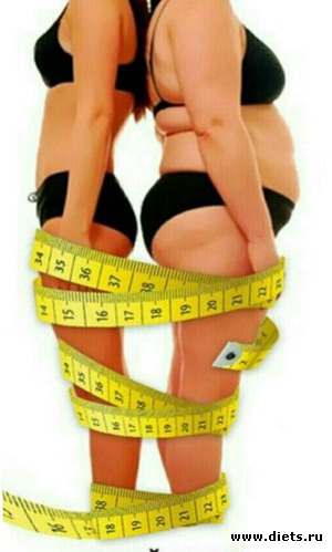 1 ����: ������