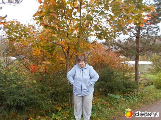 Вот и осень пришла., альбом: Наша дача.