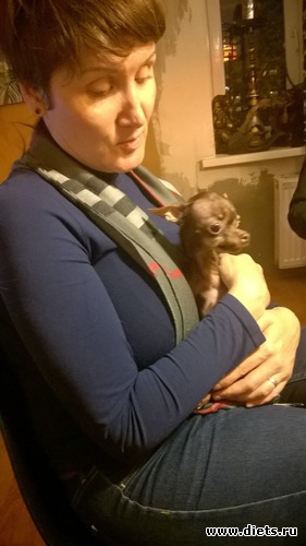 6 ����: ��������� ����