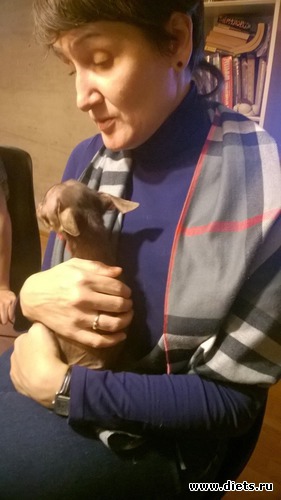 11 ����: ��������� ����